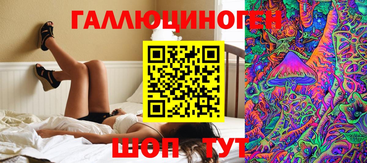 Псилоцибиновые грибы GOLDEN TEACHER  Вход с VPN  Дальнереченск 